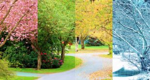 Come le stagioni influiscono sulla pelle…