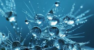 L'acqua gelificata effetto peeling per una pelle senza difetti