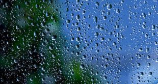 L'acqua micellare: il modo più dolce per detergere la pelle del viso