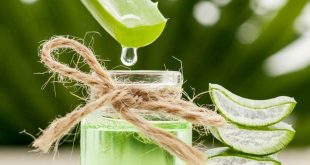 L'aloe vera, un aiuto contro i colpi di sole
