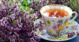 Cura della pelle grassa: 3 tisane depurative da provare