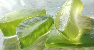 I benefici dell'aloe vera sulla pelle