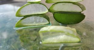 Le proprietà benefiche delle piante sulla nostra pelle