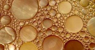 Olio doccia: cos'ha più degli altri?